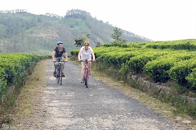 Ella Cycling Tour