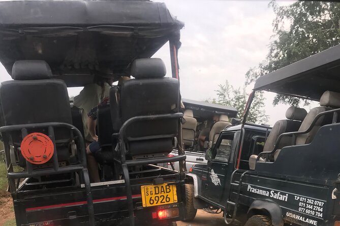 Ella to Udawalawe Safari (Safari Jeep Free) - Safari Itinerary and Activities