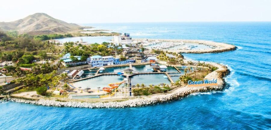 Encounter With Sea Lions and Sharks in Puerto Plata