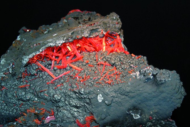 Entry Museum - Exhibits and Activities