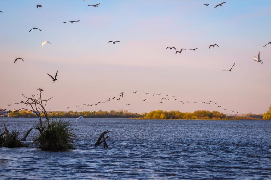 Escaroupim: 1 Hour Boat Trip, Guided Tour