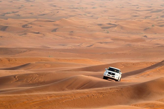 Evening 4×4 Dune Bashing