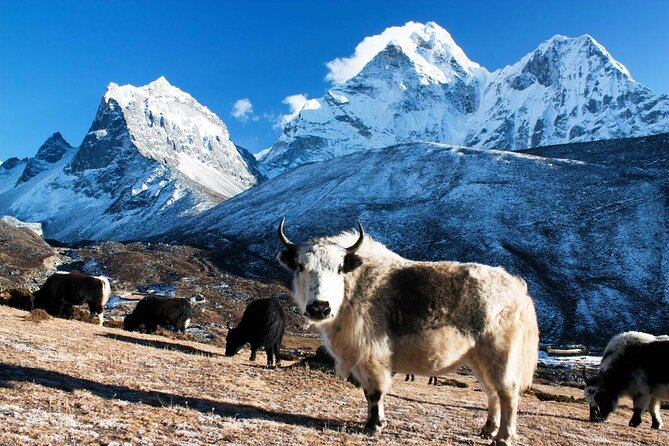 Everest Base Camp Landing by Helicopter at Kalapathar View Point