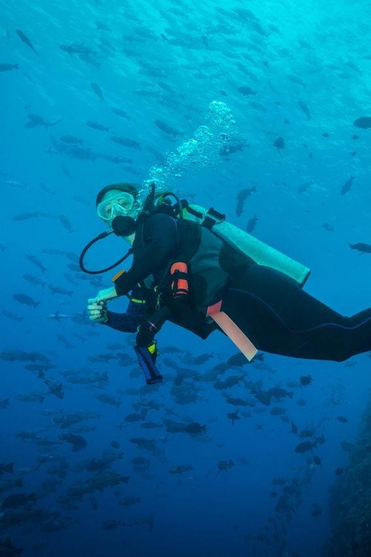 Exciteful Scuba Diving Experience in Antalya