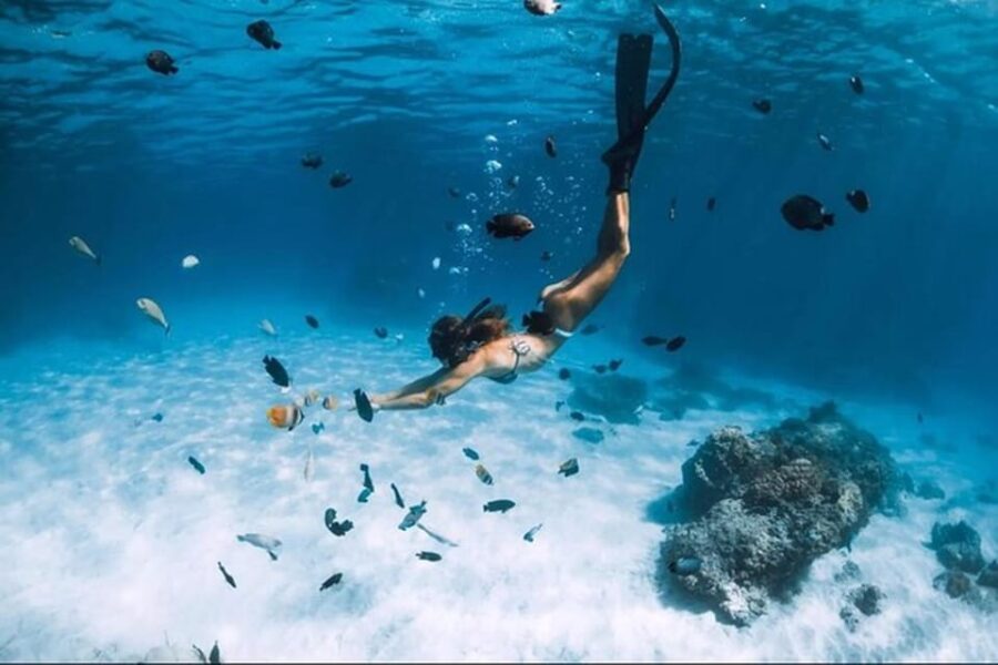 Exclusive Day Trip Adventure From Nassau - Overview of the Day Trip
