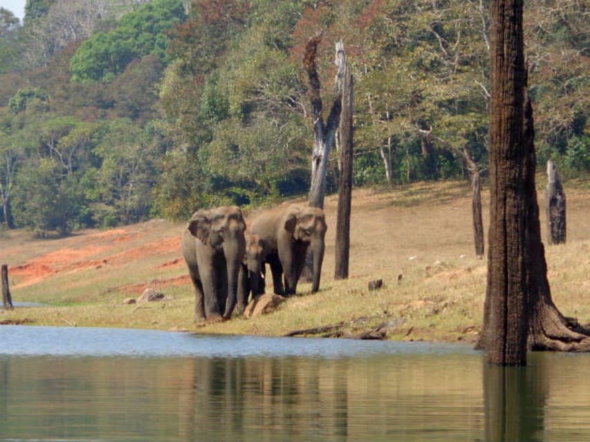 Exclusive Periyar Wildlife Sanctuary Tour(02 Nights/03 Days)