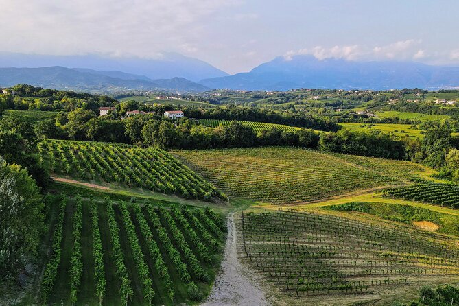 6 Best Tours In Treviso