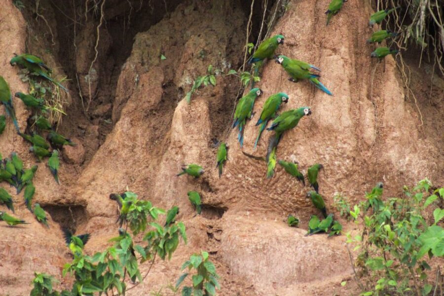 Excursion 3 Days/2 Nights in the Jungle