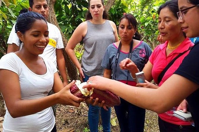 Excursion Day to Cocoa Farm From Guayaquil