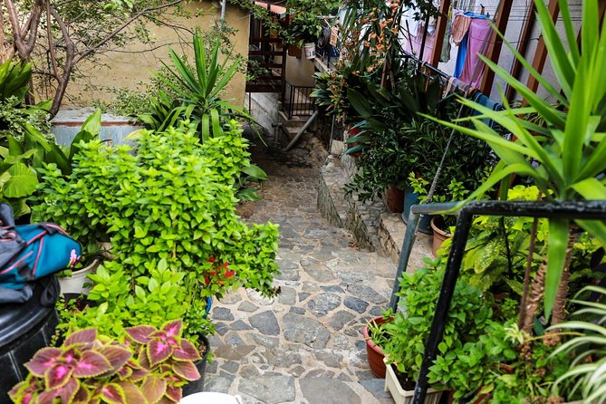 Excursion TASTE of CYPRUS Gourmet Tour From Paphos
