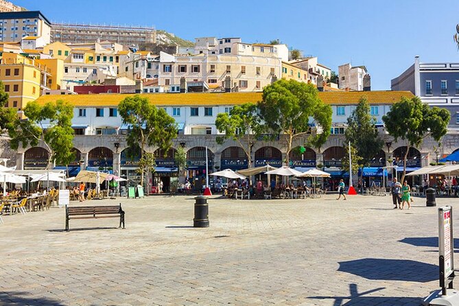 Excursion to Gibraltar With Rock Tour From Malaga
