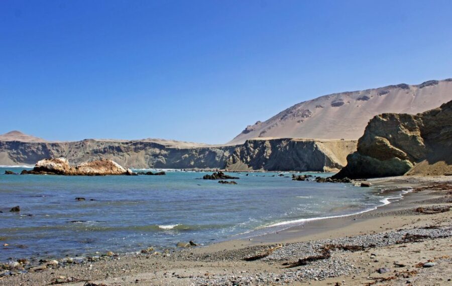 Excursion to San Fernando Bay + Sandboarding in Nazca - Excursion Overview