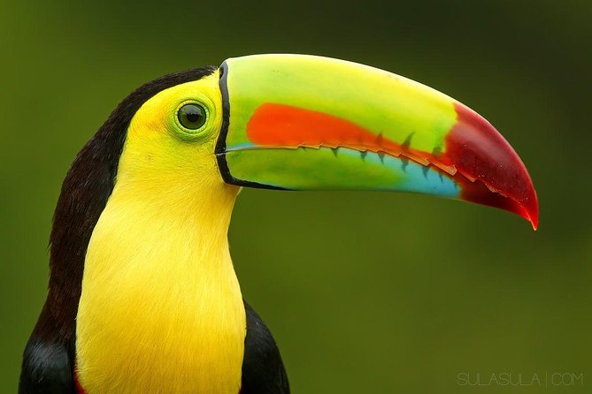 Exotic Landscapes of Costa Rica