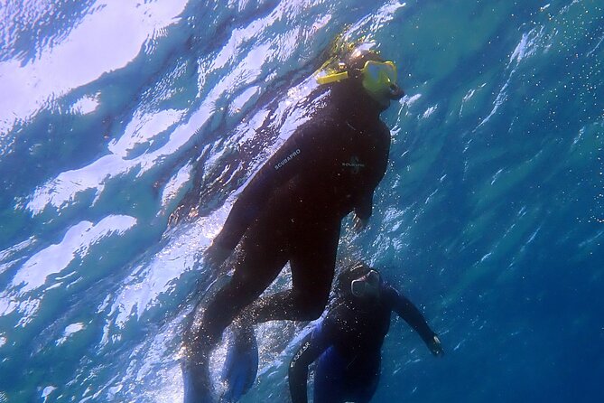 Experience 2-Hour Guided Snorkelling in Costa Teguise Lanzarote - Starting Price and Guarantees
