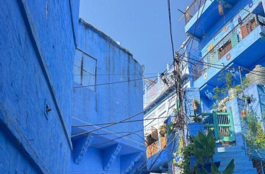 Experience Blue City Tour With Bishnoi Village Safari