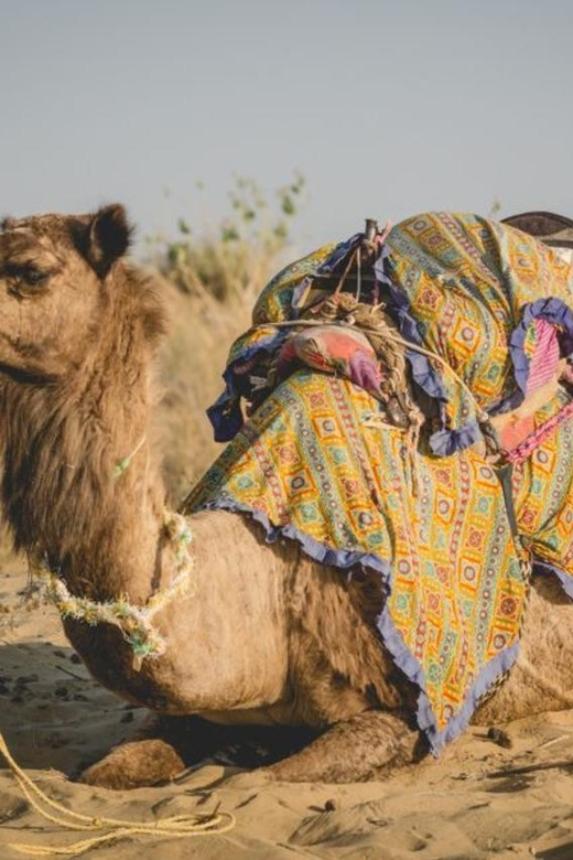 Experience Golden Desert !N Khuri