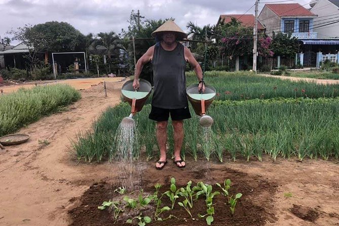 Experience Hoi an Rural Eco Tour From Da Nang or Hoi an City