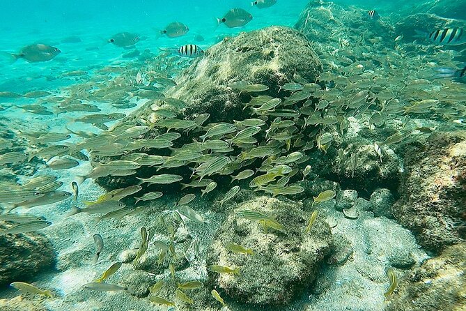 Experience Peanut Island Adventures