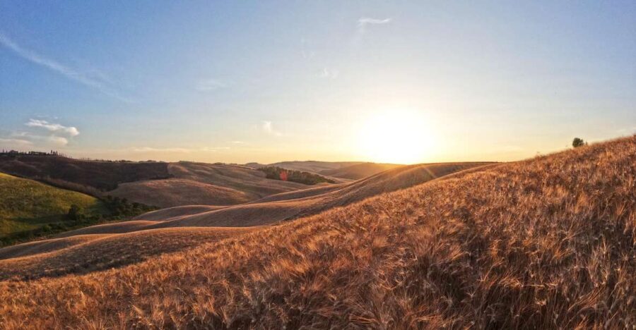 Experience With Birds of Prey in Tuscany - Experience Overview