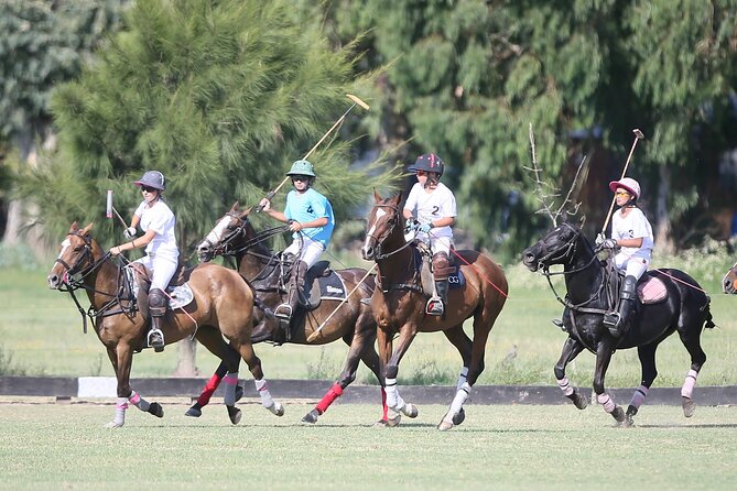 Experience With Horses, Polo Classes, and Barbecue in Buenos Aires