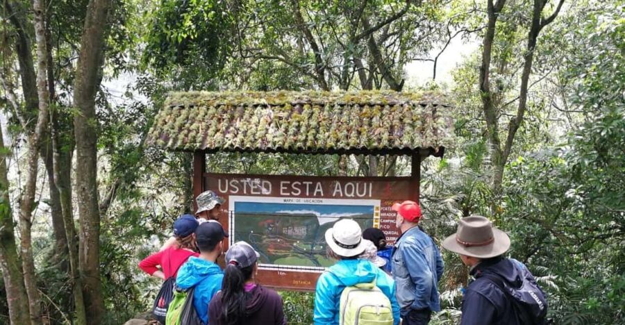 Explore Biodiversity in the Chicaque Forest Nature Reserve