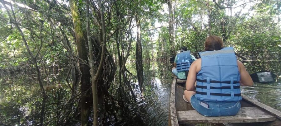 EXPLORE THE AMAZON
