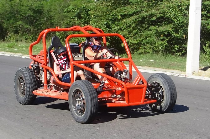 Family Buggy Tour