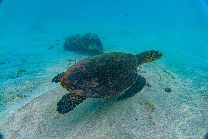 Family Package Private Fishing and Snorkeling
