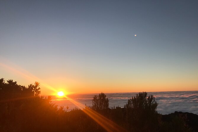 Fanal Forest Private Sunset Hike - Expectations