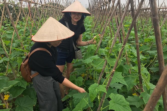 Farm Tour & Home Cooking Class With Local Family in Hanoi