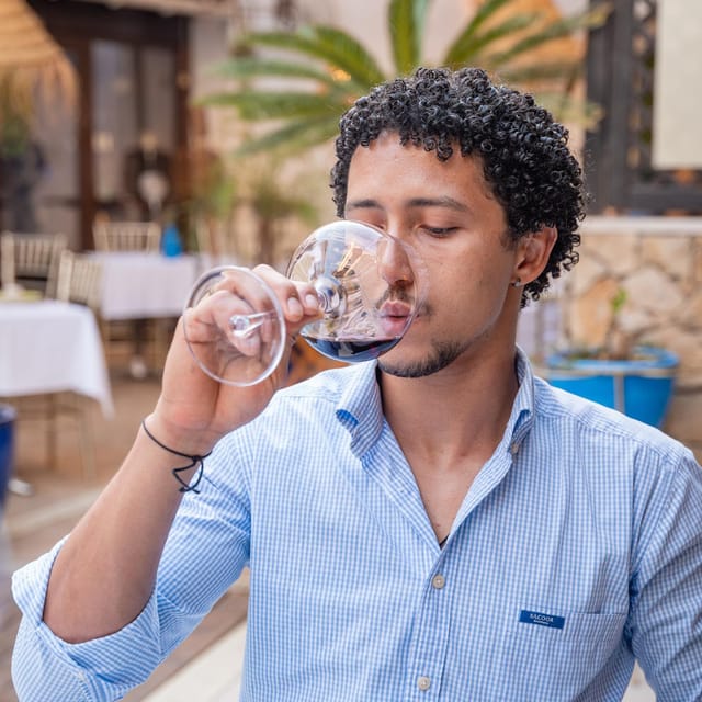 Faro City Portuguese Wine Tasting and Tapas Guided Tour - Experience Details