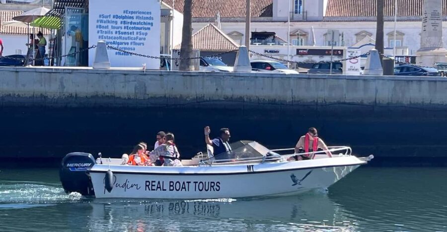 Faro - Dolphin Watching Boat Tour - Key Points