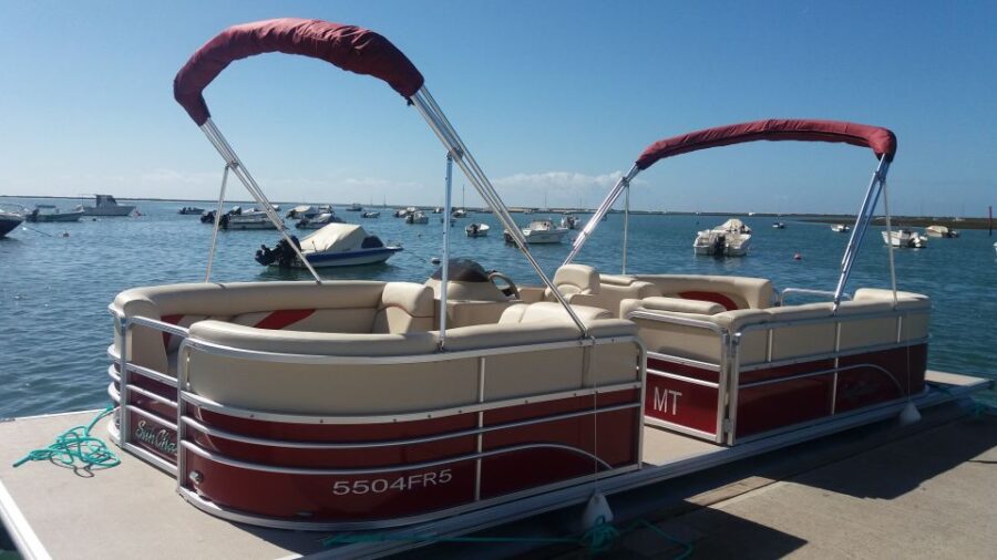 Faro: Ria Formosa Boat Tour