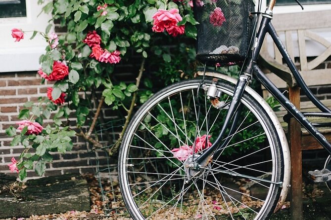 Fat Bike Tours Amsterdam