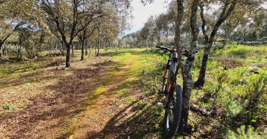 2 Best Bike Tours In Fatima