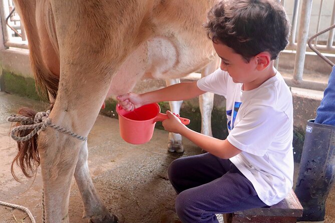 Finca El Paraiso Farm Cheese Tour in Monteverde - Touring the Sustainable Farm
