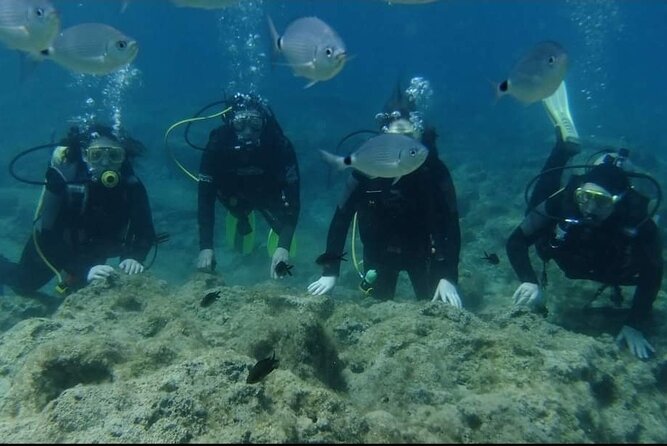 2 Best Scuba Diving Experiences In Ayia Napa