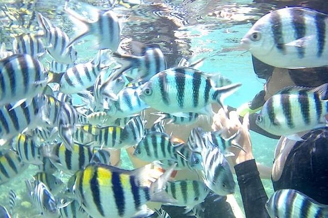Fishing Trip Pick Up From Kuta Lombok