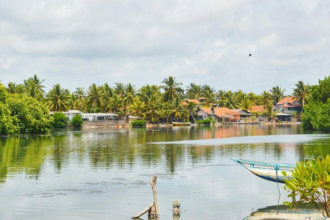 Fishing Village & Mangrove Tour Experince at Negombo (Starting From Colombo)