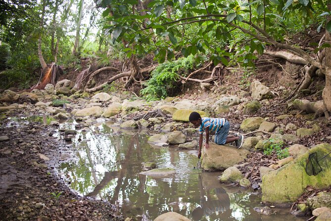 Five Hour Day Pass: 3 Hour Fun Hike and Challenges/Great Experiences/Bajan Lunch