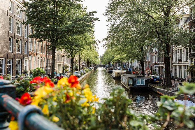 Flexible Amsterdam Layover Tour With a Local: 100% Personalized & Private