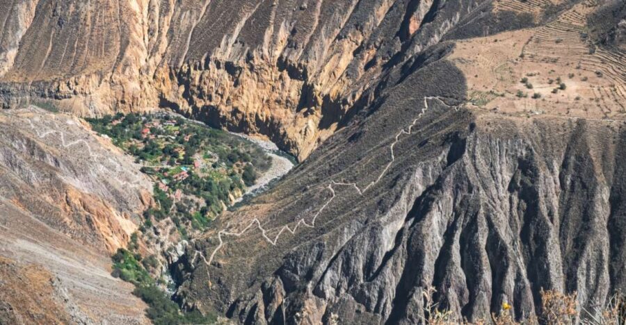 Flight of the Condor – Cabanaconde