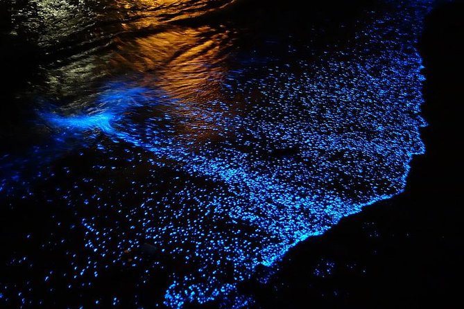 Florida Bioluminescence Kayaking Tour | Haulover Canal (Titusville) - Overview of the Tour