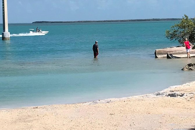 Florida Keys Tour and Private Transportation Service