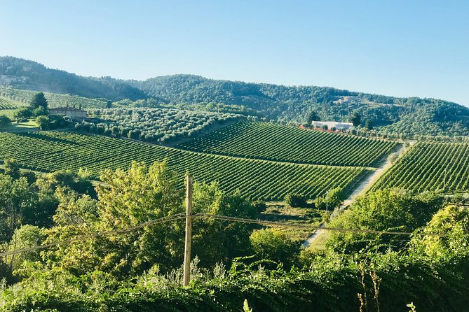 Food and History Tour in Siena and San Gimignano - Inclusions