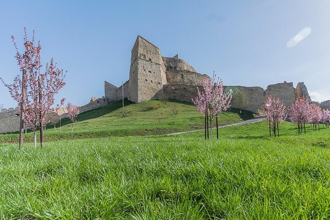 2 Best Tours In Targu Mures