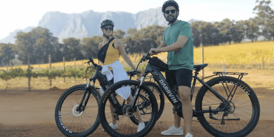 Franschhoek: E-Bike & Wine Tour (Shared Tour)