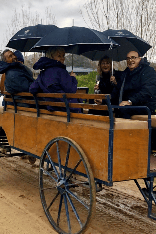 Franschhoek: Vrede En Lust Wine Estate 1H Carriage Ride