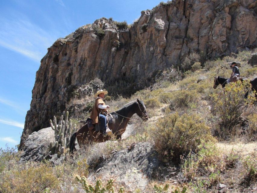 From Arequipa: Colca Valley/Canyon 2-Day Tour & Horse Riding
