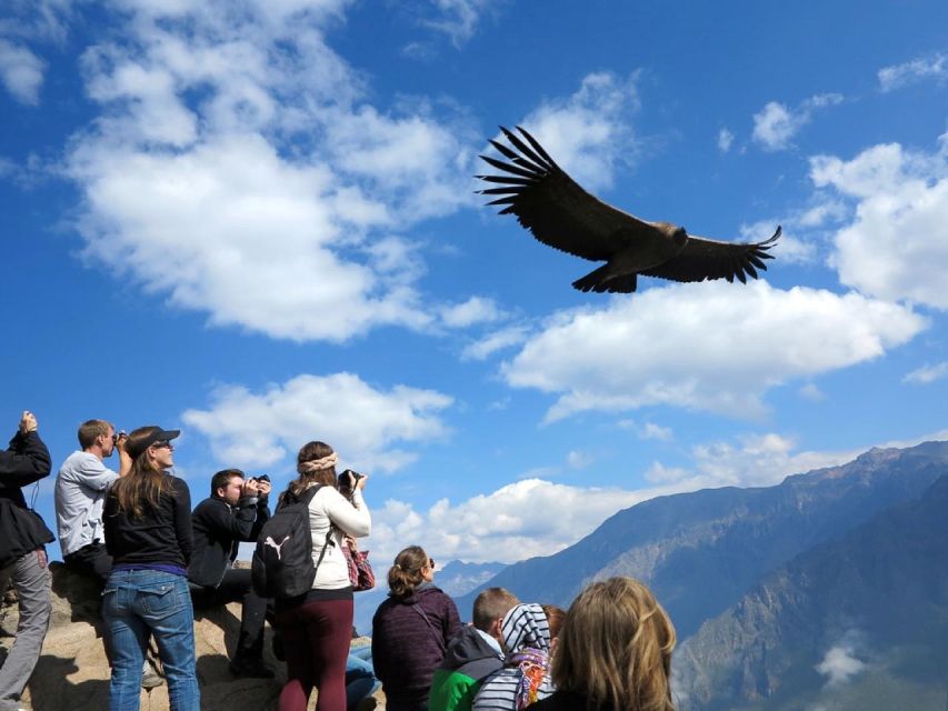 From Arequipa: Day Trip to the Colca Canyon